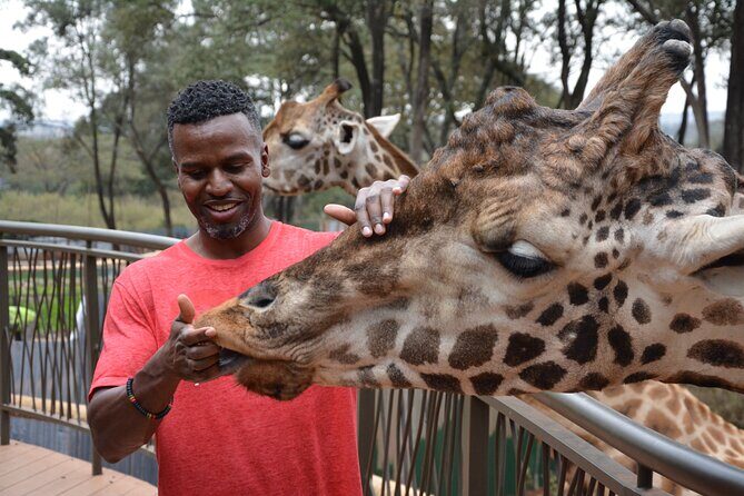 Half-Day Nairobi National Park and Maasai Market with Pick up - Who Should Book This Tour?