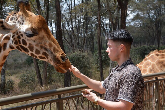 Half-Day Nairobi National Park and Maasai Market with Pick up - Final Thoughts