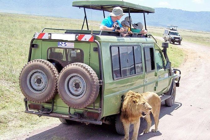 Half Day Nairobi National Park Guided Tour From Nairobi - Why We Think This Tour Works Well