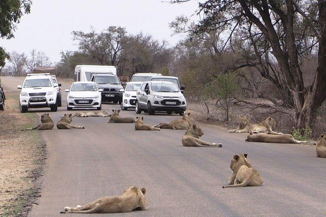 Half Day Nairobi National Park Guided Tour From Nairobi - Who Will Love This Experience?