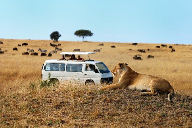 Half Day Nairobi National Park Guided Tour From Nairobi - FAQ