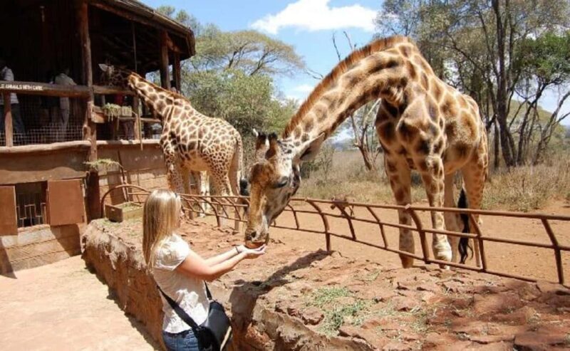 Half Day Nairobi National Park, Karen Blixen, Giraffe Center - Exploring Nairobi National Park