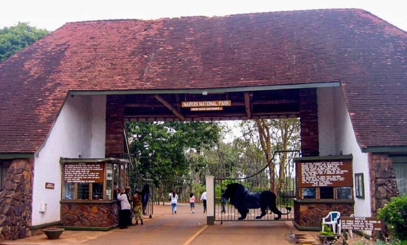 Half Day Nairobi National Park, Karen Blixen, Giraffe Center - Authentic Experiences and Insights from Reviews