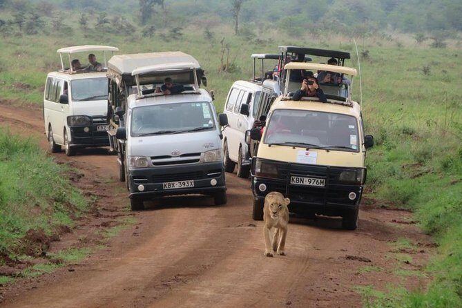 Half-Day Nairobi National Park Safari from Nairobi with Free Pickup - Who would this tour suit?