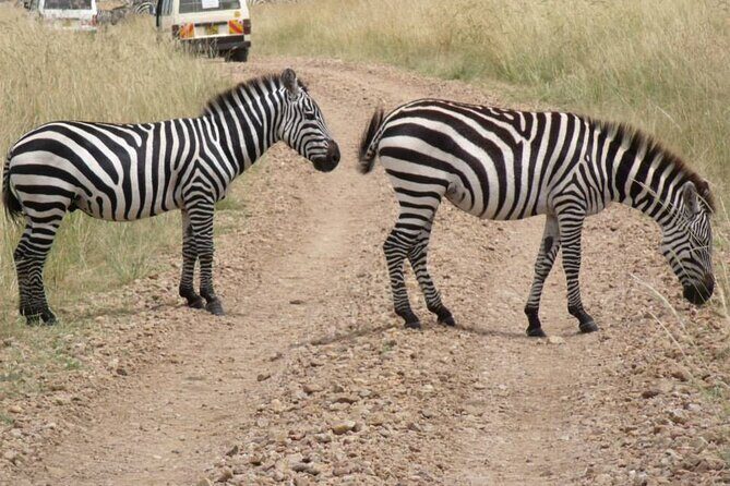 Half-Day Nairobi National Park Tour from Nairobi - Key Points