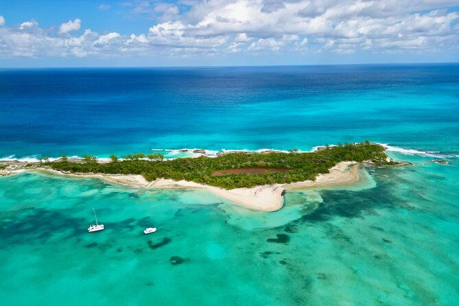 half-day-nassau-adventure-swimming-pigs-and-sea-turtles-spotting