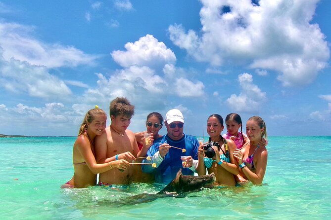 half-day-nassau-adventure-swimming-pigs-and-sea-turtles-spotting
