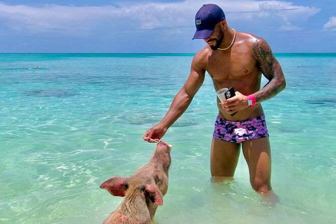 half-day-nassau-adventure-swimming-pigs-and-sea-turtles-spotting