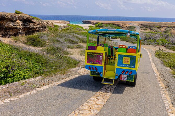 half-day-national-park-safari-tour-and-baby-beach