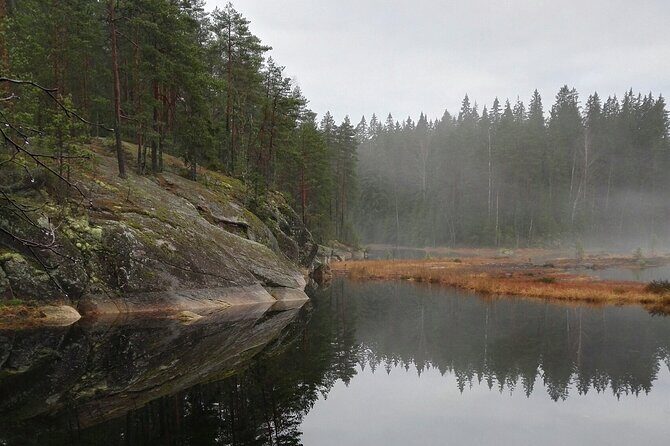Half-Day Nature Adventure to Nuuksio National Park from Helsinki - What Travelers Love Most