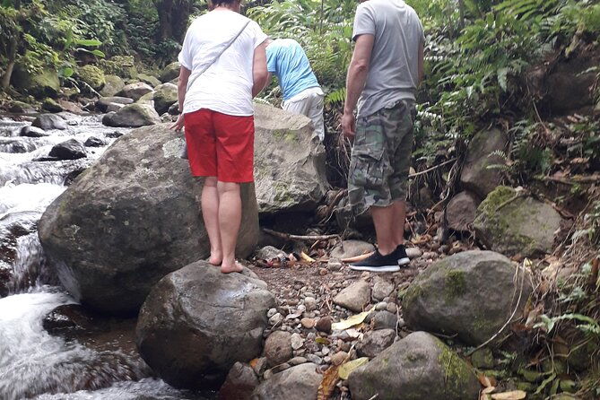 half-day-nature-and-panorama-tour-in-martinique