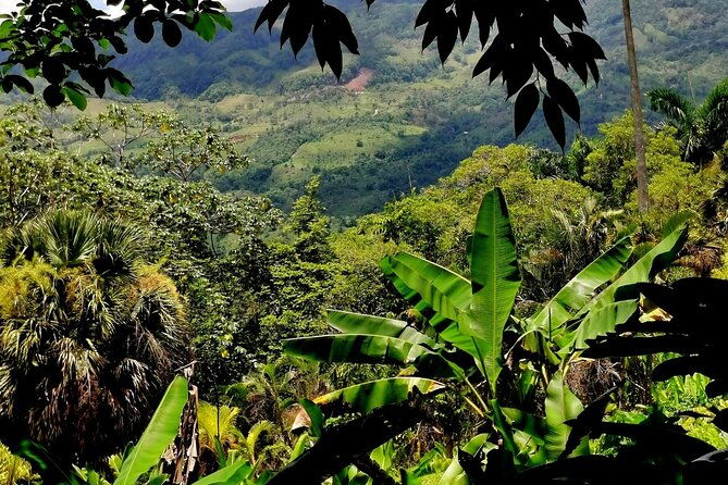 half-day-nature-culture-excursion-tropical-taino-garden-tour
