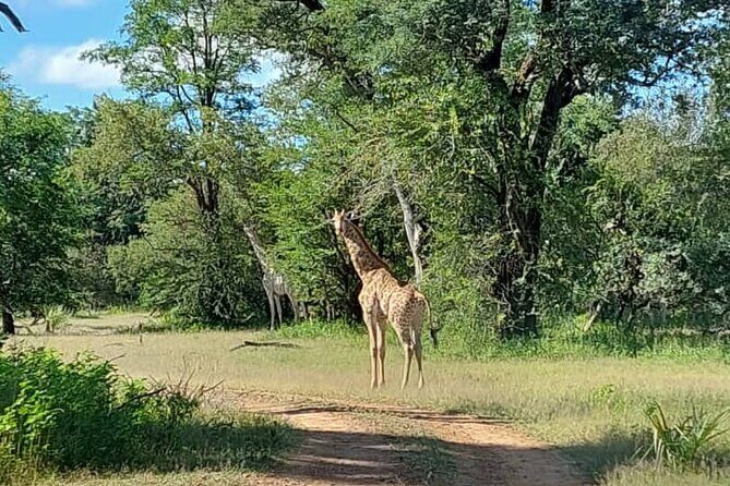 Half-Day Nature Walk in Mosi-oa-Tunya National Park from Livingstone - Frequently Asked Questions