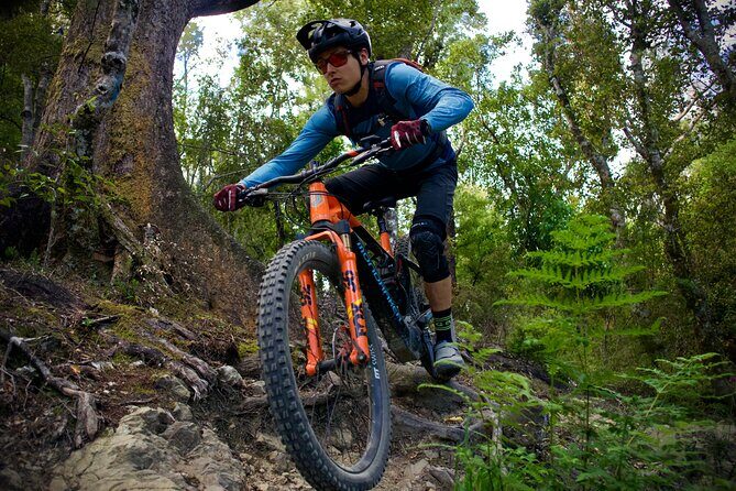 Half Day Nelson Electric Mountain Bike Rental Adventure - What to Expect from This Electric Mountain Bike Rental