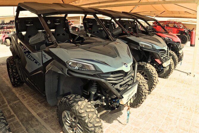 Half Day Night and Morning Desert Safari Camel and Sand Boarding - Who Will Love This Tour?