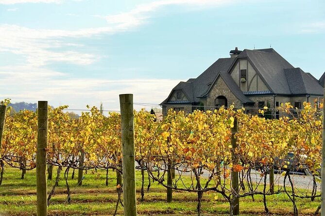 half-day-north-georgia-wine-country-tour-from-atlanta