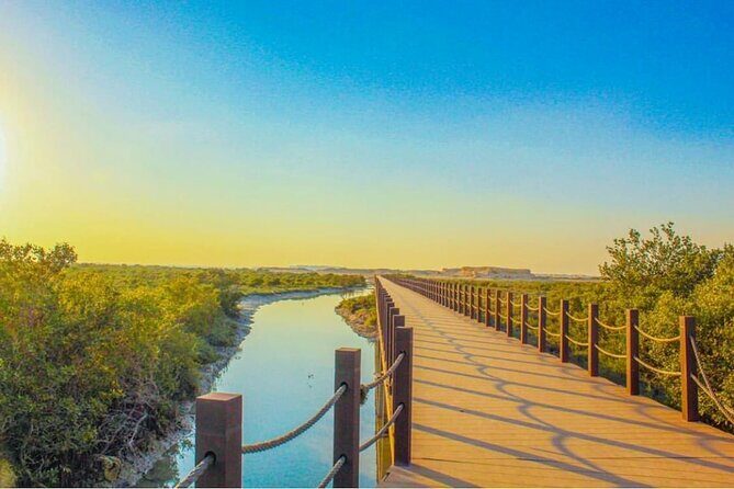 Half-Day North Qatar Tour - Transportation and Comfort