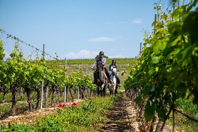 half-day-of-horseback-adventure-with-wine-tasting