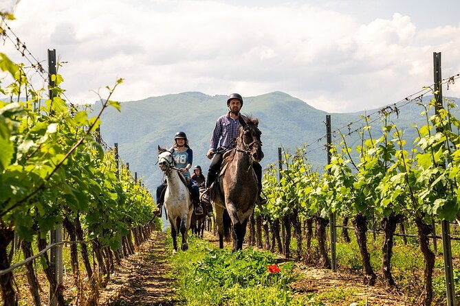 half-day-of-horseback-adventure-with-wine-tasting