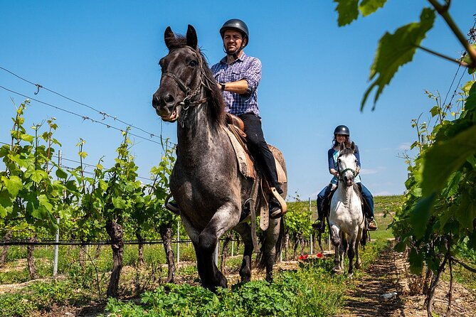 half-day-of-horseback-adventure-with-wine-tasting