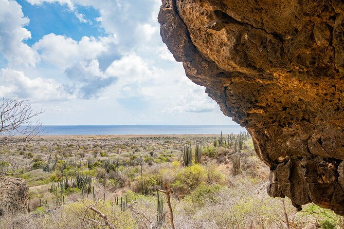 half-day-off-road-snorkel-safari