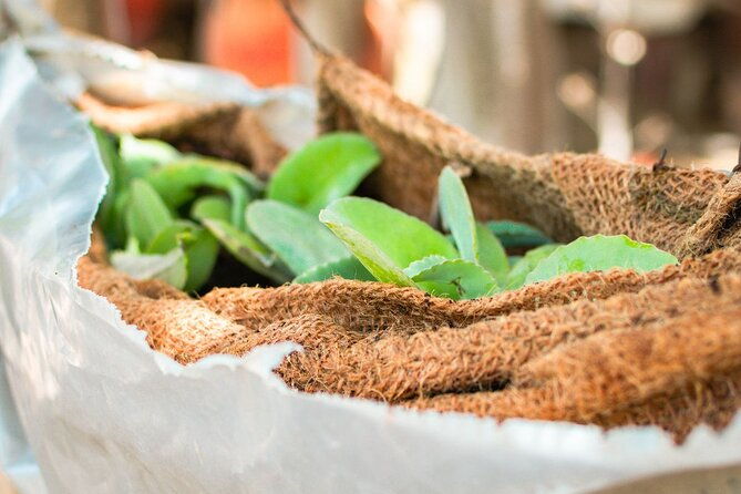 half-day-off-road-snorkel-safari