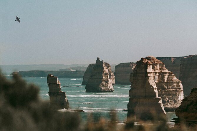 Half-Day or Full-Day Tour with Private Guide from Melbourne - A Closer Look at the Itinerary and What It Offers