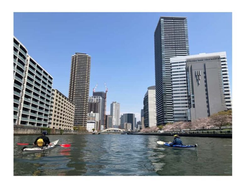 Half Day Osaka City Kayak tour - Itinerary Breakdown