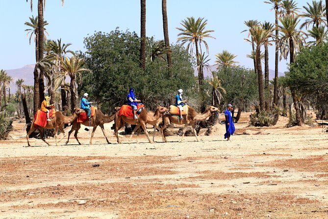 Half-Day Palm grove desert Quad & Camel Tour - Final Thoughts