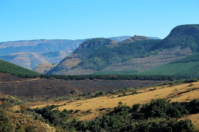 Half Day Panorama Guided Tour - Who Would Enjoy This Tour?