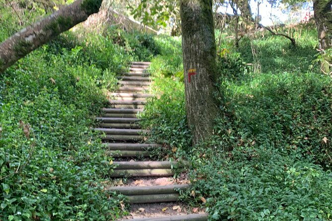 half-day-park-and-pena-palace-and-sintra-village-private-tour-2