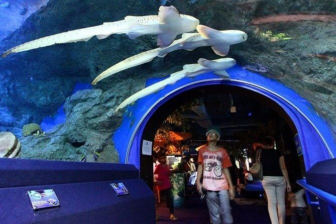 Half day Pattaya Floating Market and Underwater World Pattaya Combo - FAQ