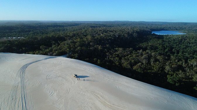 Half-Day Pemberton National Parks Beach and Forest Eco Adventure - Who Would Love This Tour?