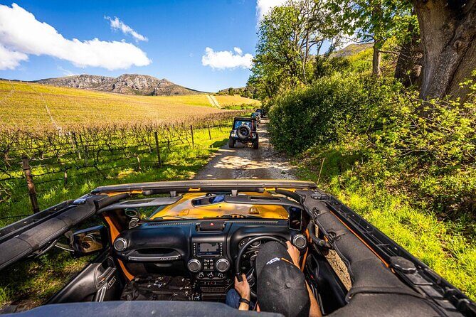Half day Peninsula & Wine Combo tour - Key Points