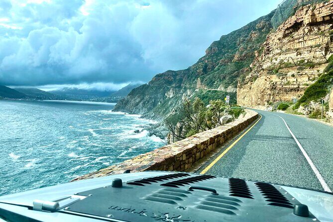 Half day Peninsula & Wine Combo tour - An In-Depth Look at the Experience