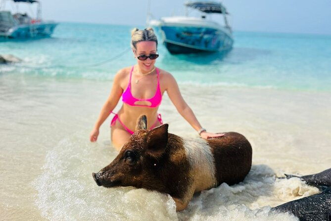 half-day-pigs-turtles-snorkel-lunch