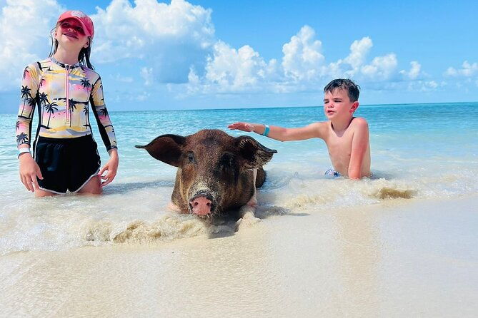 half-day-pigs-turtles-snorkel-lunch