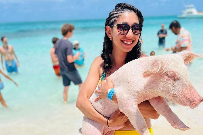 half-day-pigs-turtles-snorkel-lunch