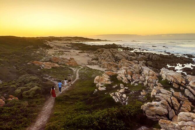 Half-Day Port Elizabeth & Kragga Kamma Reserve - Who Is This Tour Perfect For?