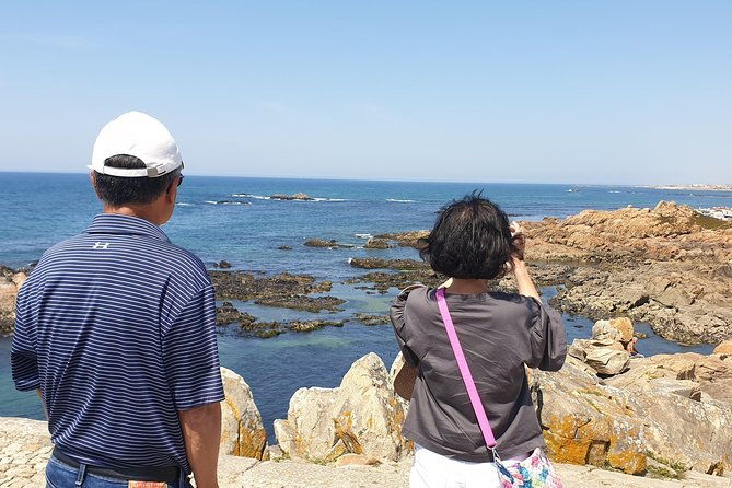 half-day-porto-and-beach-side-small-group-tour-with-tastings