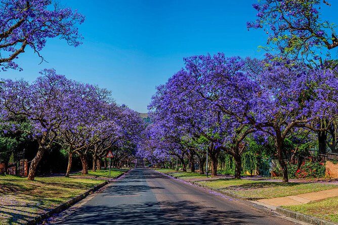 Half Day Pretoria City Tour from Johannesburg or Pretoria - Who Would Love This Tour?