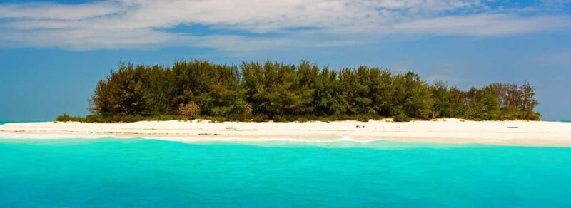 Half Day prison Island trip - What You Can Expect from the Half-Day Prison Island Trip