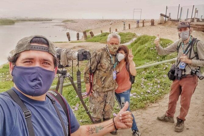 half-day-private-birdwatching-tour-in-lima