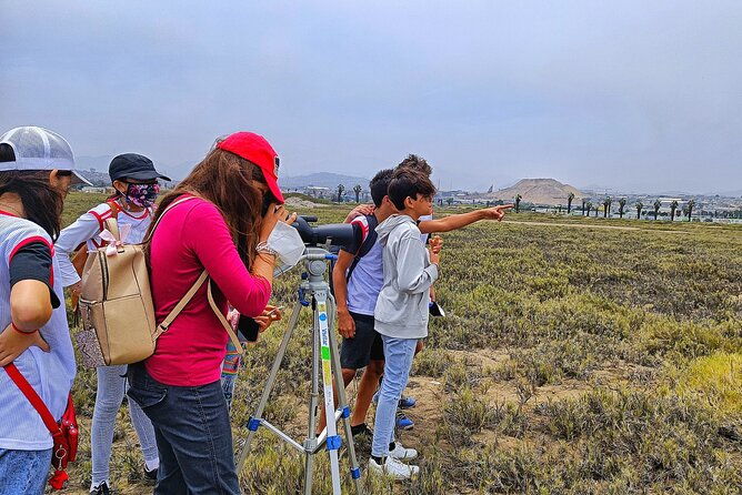 half-day-private-birdwatching-tour-in-lima