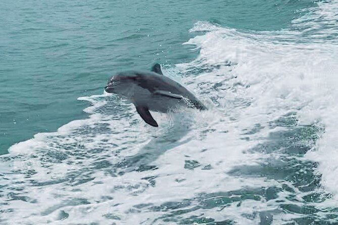 half-day-private-boating-on-blue-hurricane-clearwater-beach-2