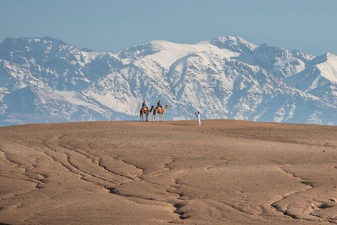 Half-Day Private Camel Riding in Agafay Desert with Pick Up - Key Points  