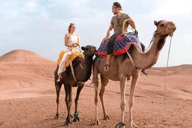 Half-Day Private Camel Riding in Agafay Desert with Pick Up - Final Thoughts: Why Choose This Camel Tour?
