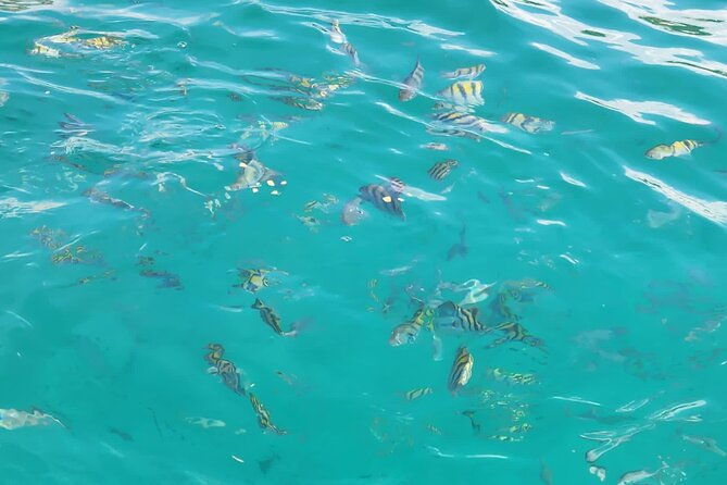 half-day-private-catamaran-trip-with-snorkeling