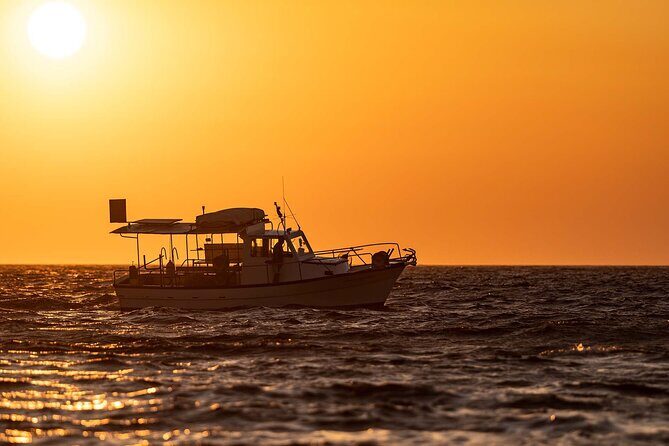 Half Day Private Cruise from Pollonia to Polyaigos - A Closer Look at the Experience