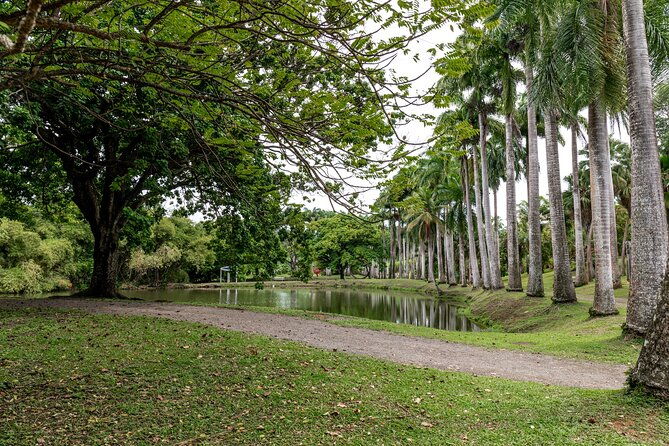 half-day-private-custom-tour-of-martinique